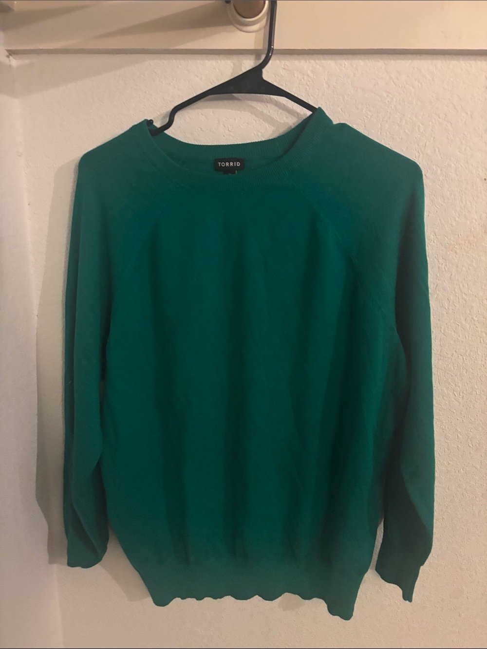 torrid Teal-Green Crewneck Sweater for Men